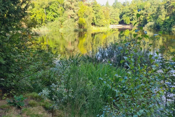 Het Lutterzand